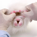 Furry Male Masturbator Alvplux White Fluffy Fur – front view