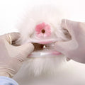 Furry Male Masturbator Alvplux White Fluffy Fur – lateral side view