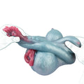 Butt Masturbator Spots Leopard Single Channel – bottom base view