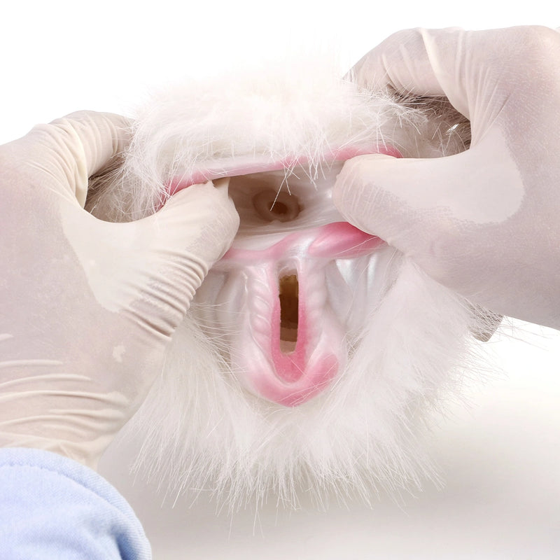 Furry Male Masturbator Equiplux White Mane Silicone