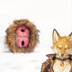 Furry Male Masturbator Simplux Amber Brown Plush Dual