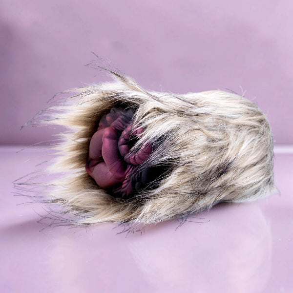 Masturbateur poilu Lupplux fourrure de loup gris en silicone alternate view