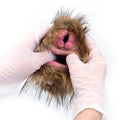 Furry Male Masturbator Simplux Amber Brown Plush – rear view