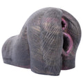 Butt Masturbator Vesprix Dual Channel Dark Velvet – dual channel entry clos