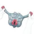 Luna Wolf Princess Single Channel Fantasy Buttocks – top view